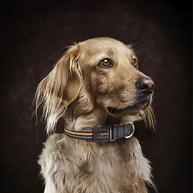 

Adjustable Pets Reflective Collar Anti-Lost Night Light Necklace Velcro Flashing Harness Breathable Luminous Collar Dog Products