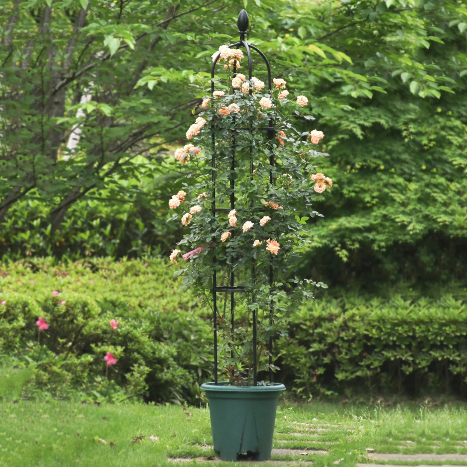 

Garden Obelisk Trellis Metal Flower Support PE Coating Steel Frame For Climbing Plants 10 Inch Diameter Tall Tower Trellis Plant