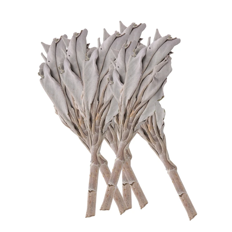 

3 Bundles White Sage California White Sage Pure Leaf Smoky Purification White Sage Smoking