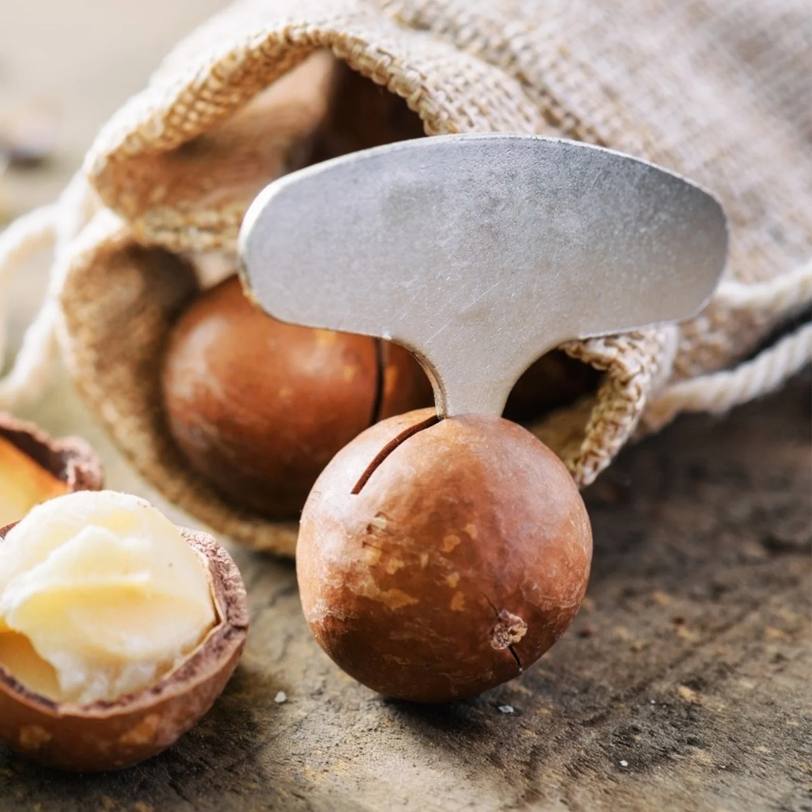 50 шт. открывалка для фруктов олово орехи макадамия железный инструмент