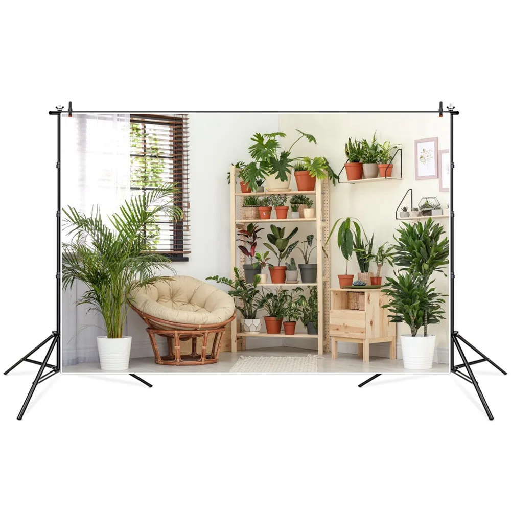 Pot Plants Shelf Sofa House Interior Portrait Photography Background Photozone Photocall Photographic Backdrops For Photo Studio