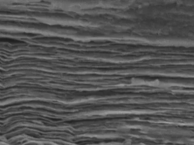 Cof&amptetrakis (4 гидроксифенола)метан