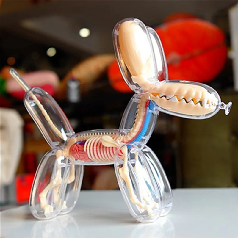 

25*20cm assembled large transparent balloon dog fluoroscopy bone anatomy