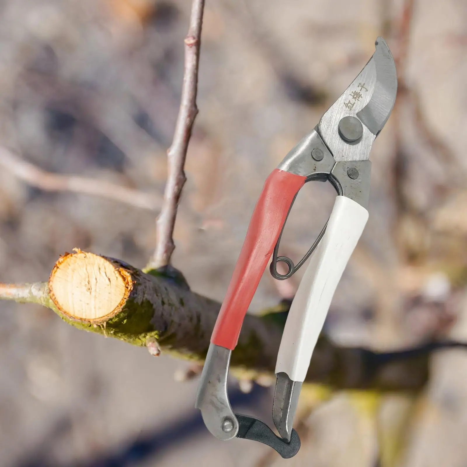 

Garden Pruning Shear Professional Branch Cutter Hand Pruner Tree Trimmer Secateur for Branches Bonsai Gardening Orchard