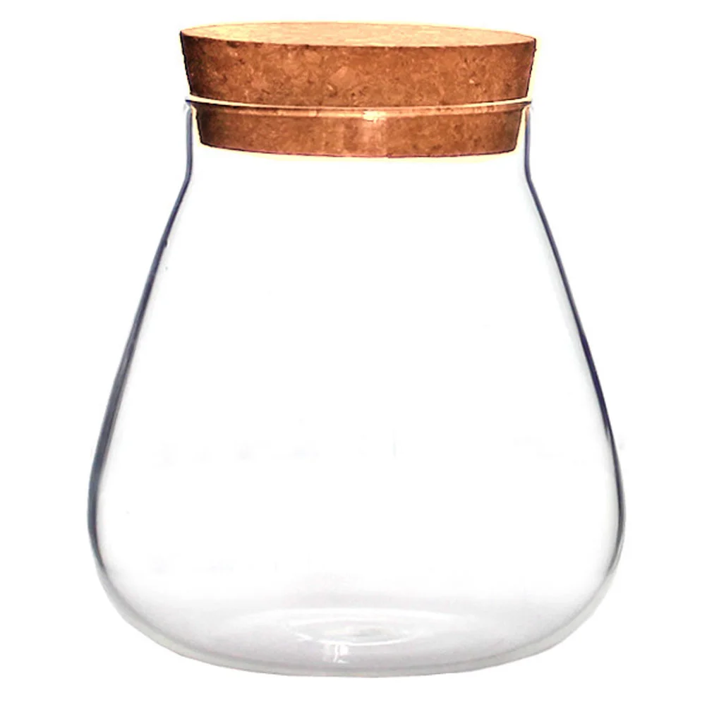 

1Pc Cork Glass Jar Clear Terrarium Flower Planting Pot