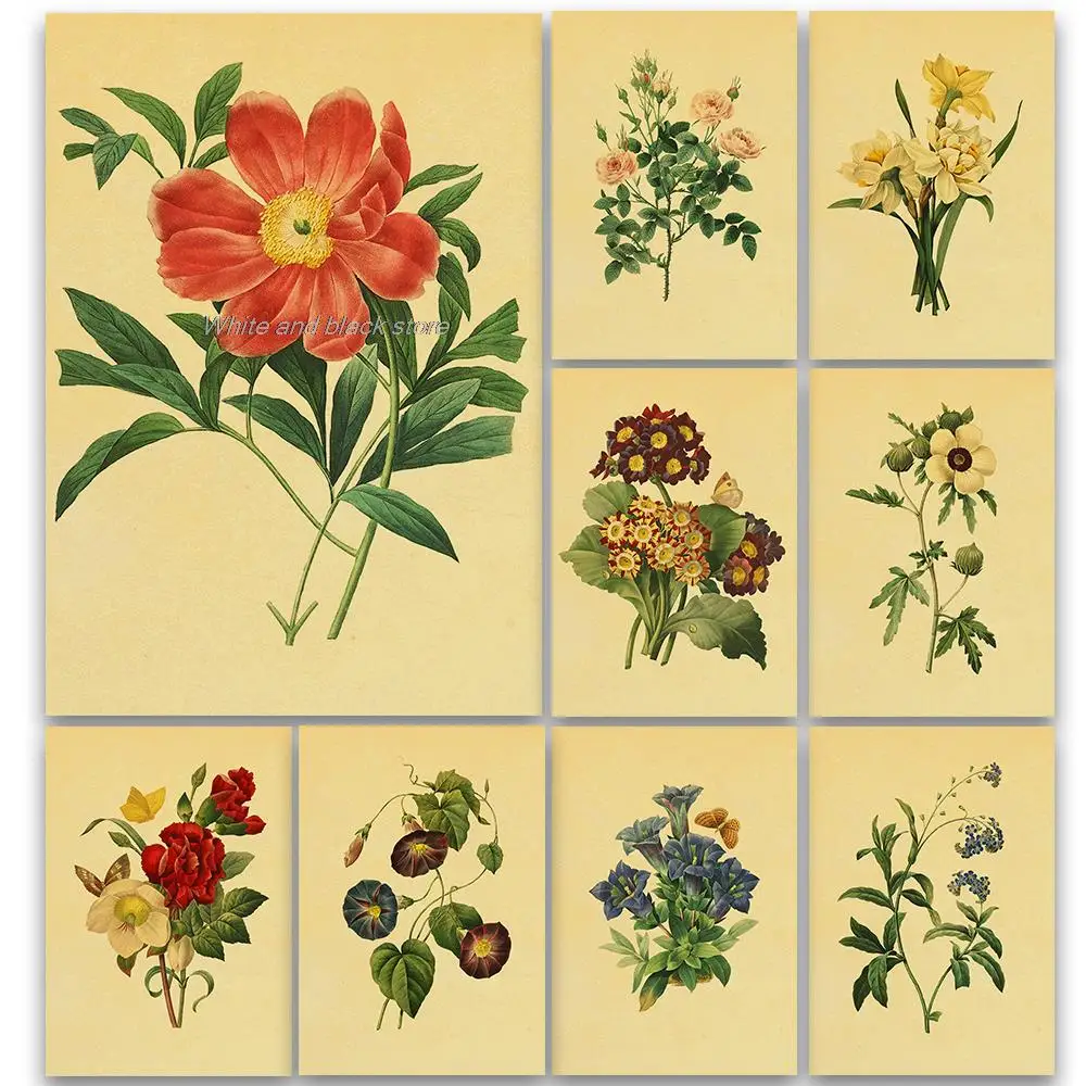

Hot! Vintage Wild Plant Poster Botanical Flower Study Living Room Hanging Painting Peony Picture Aesthetic Room Decor Paintng