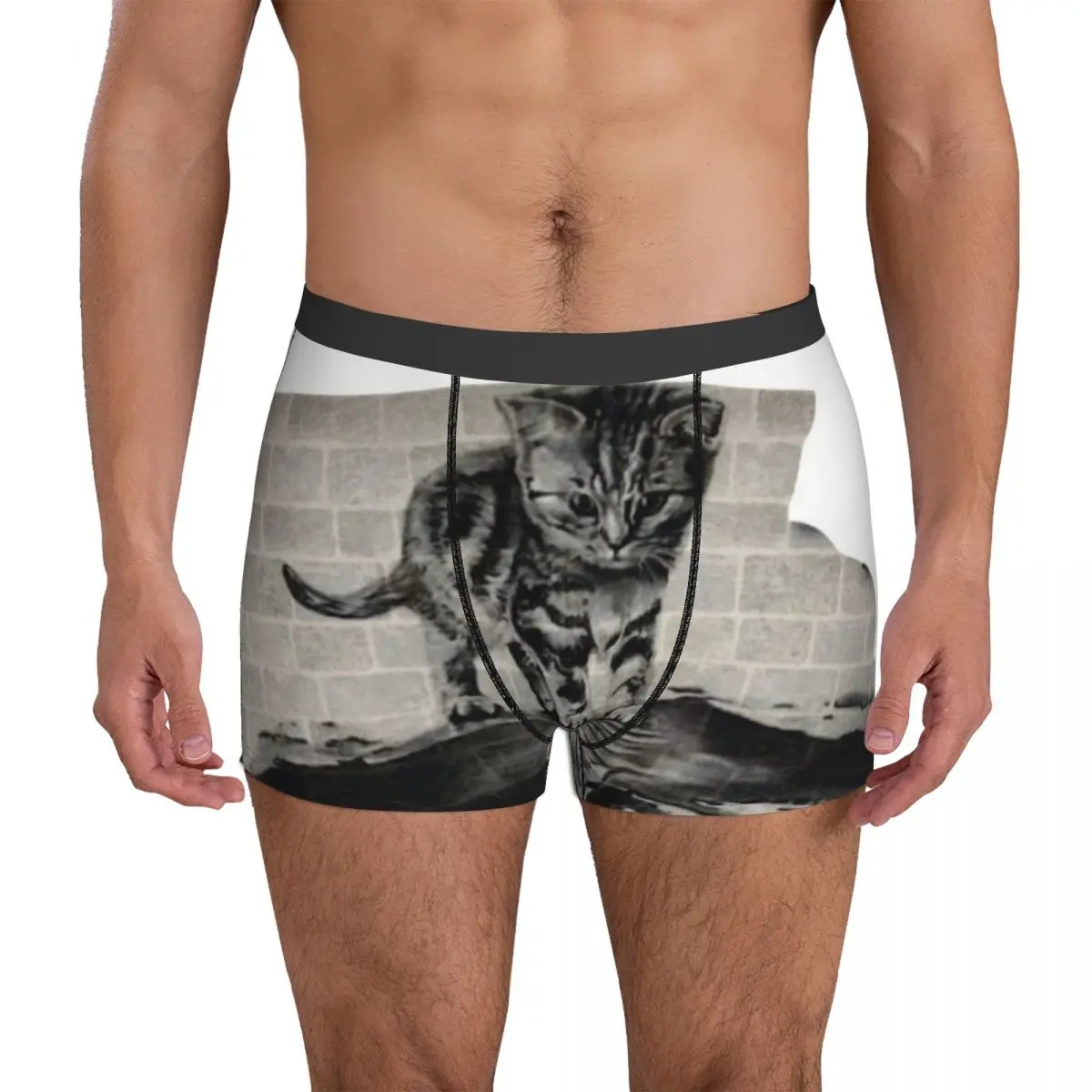 Kitten To Tiger Underwear Animal Breathable Panties Customs Boxer Brief Pouch Men's Plus Size Trunk