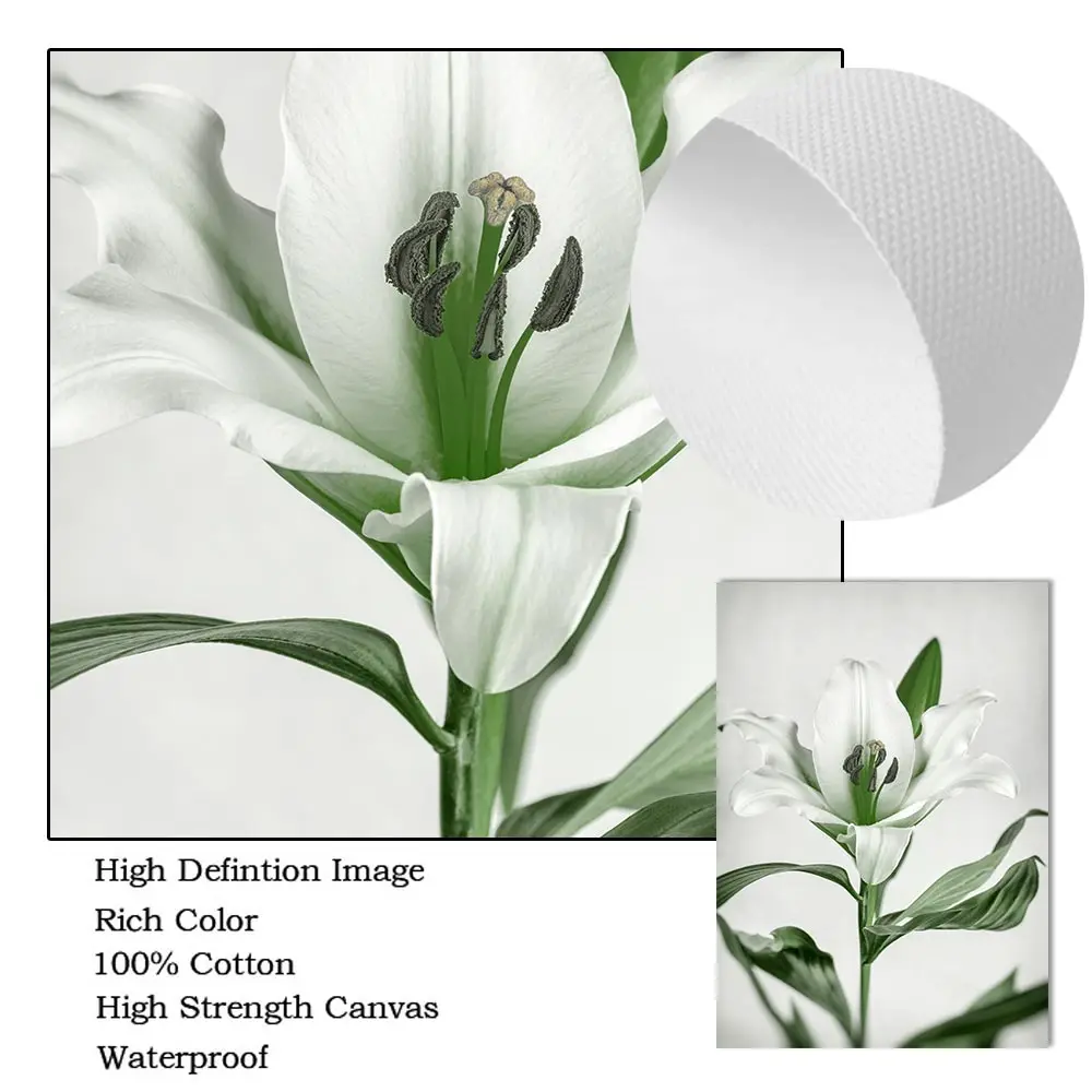 Постер на холсте зеленый лес картина с изображением дикого оленя водопада поток