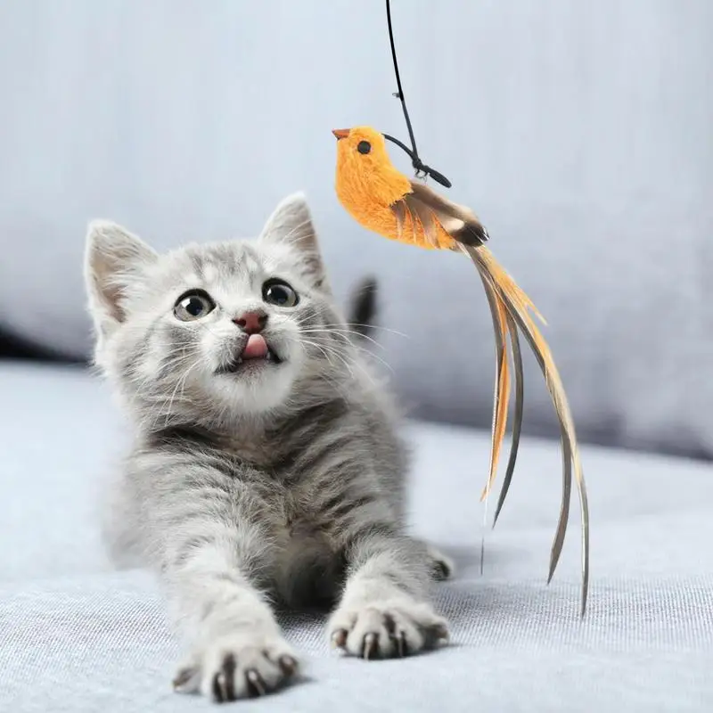 

Simulated Bird Cat Toy | Interactive Cat Wand Toy | Suction Cup Pet Indoor Dancing Playing Chasing Exercise Toy Funny Interactiv