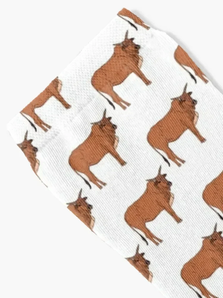 Носки Zebu зимние термобелье роскошные детские носки для гольфа мальчиков женские