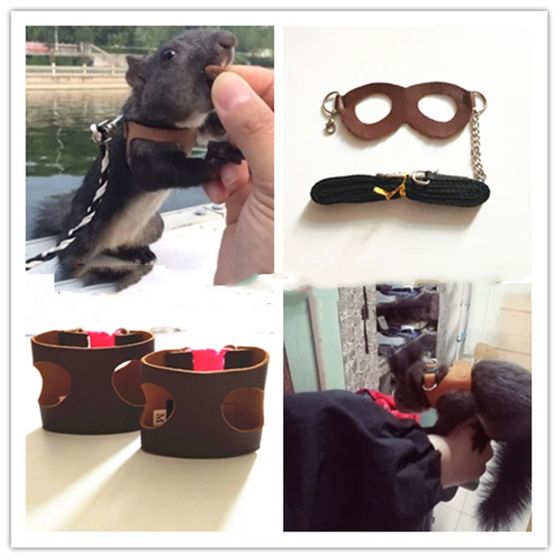 

Small Pet Squirrel Hamster Chinchilla Harness Leash Glasses Traction Rope Vest Chest Anti-Biting For Rat Lead Training Leather