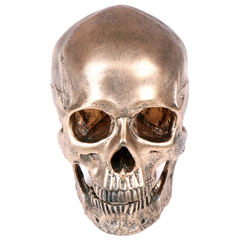 

Bronze Resin Skull Model Painting Model Sculpture Statue Crafts Halloween Home Decoration