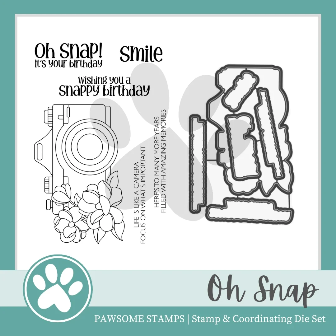 

Pas New 2023 Oh Snap Camera Clear Stamps Set Scrapbooking for Paper Making Metal Cutting Dies Frames Card Craft