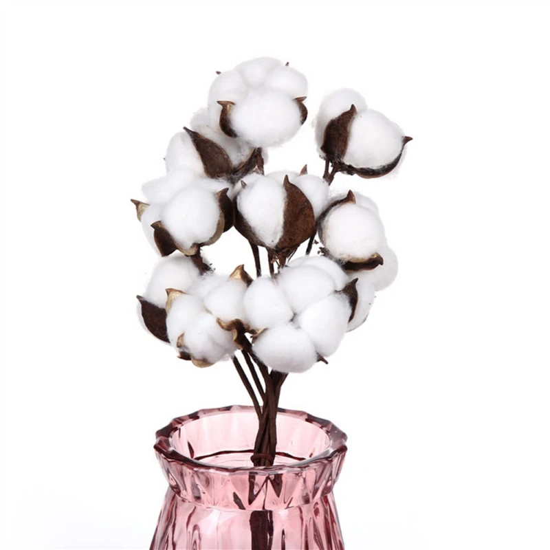 10 шт. Натуральные Сушеные хлопковые цветы искусственные букет подружки невесты