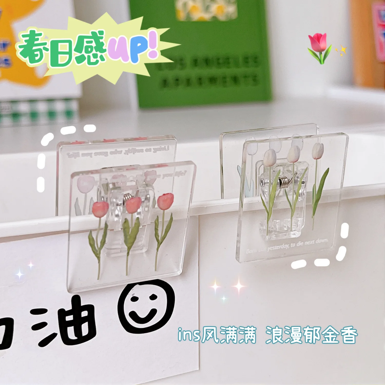 3 Pieces of Tulip Folder Acrylic Simple Long Tail Color Square Candy Manual Account Arrangement | File Folders