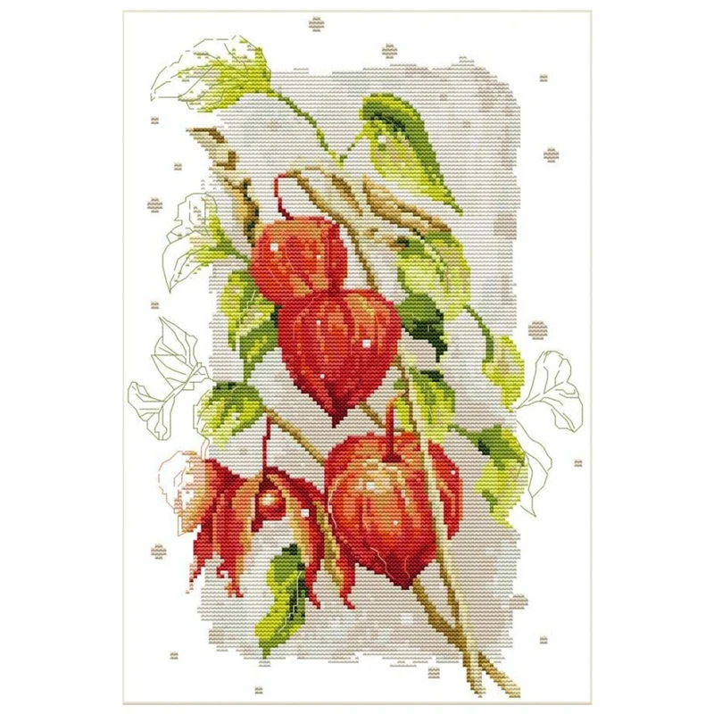 

Cross Stitch Kits Stamped for Adults Beginner Kids, Red Gooseberry 11CT DIY Embroidery Needlework Kit