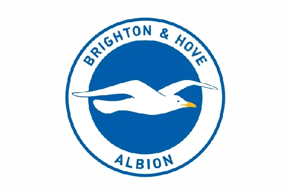 Флаг футбольного клуба Брайтон энд Хоув Альбион (Англия) |