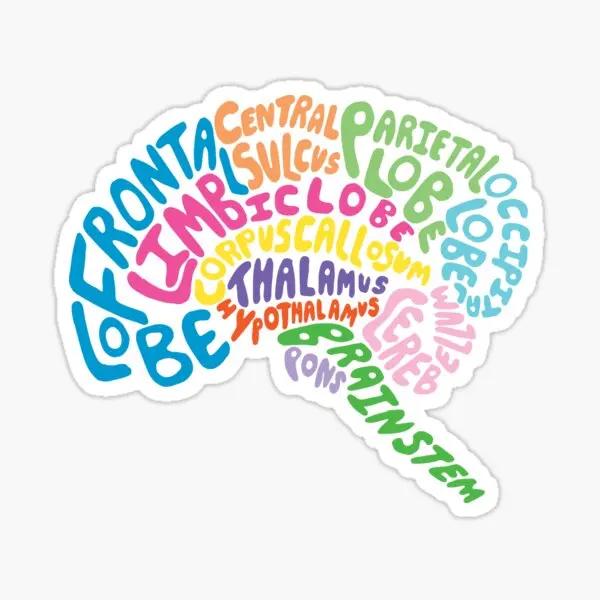 

Human Brain Anatomy Using Typography 5PCS Stickers for Funny Stickers Print Living Room Cute Wall Decor Window Art Anime