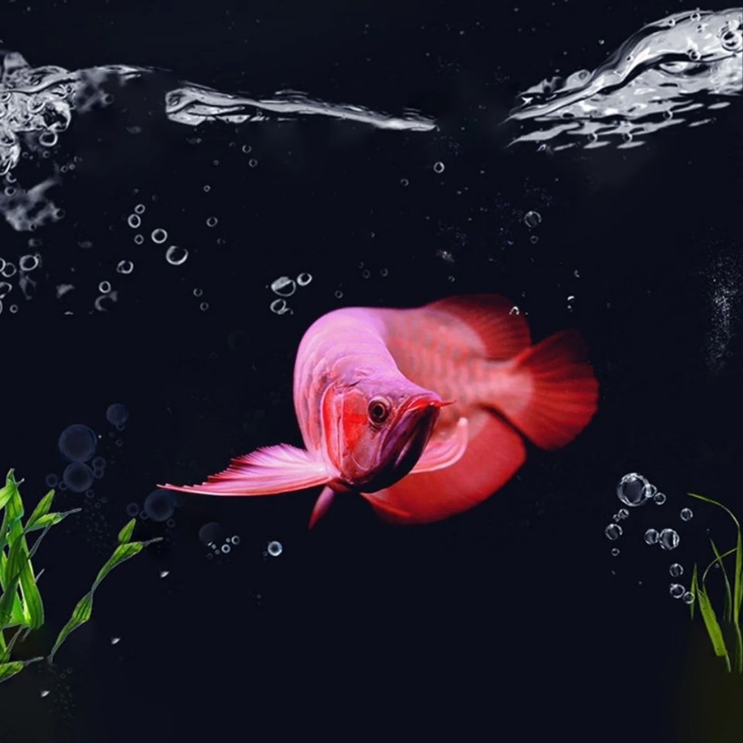 Аквариумный фильтр керамическое кольцо с активированным углем 250 г аквариумный