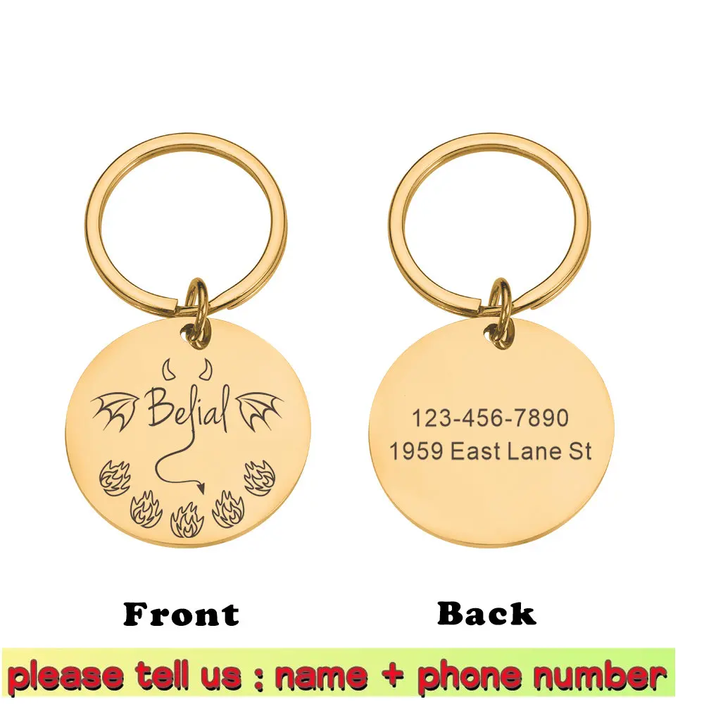 

Именные Бирки Для домашних животных на заказ, яркие ярлыки для кошек, ошейников, аксессуаров для собак, яркая стальная бирка для ошейников