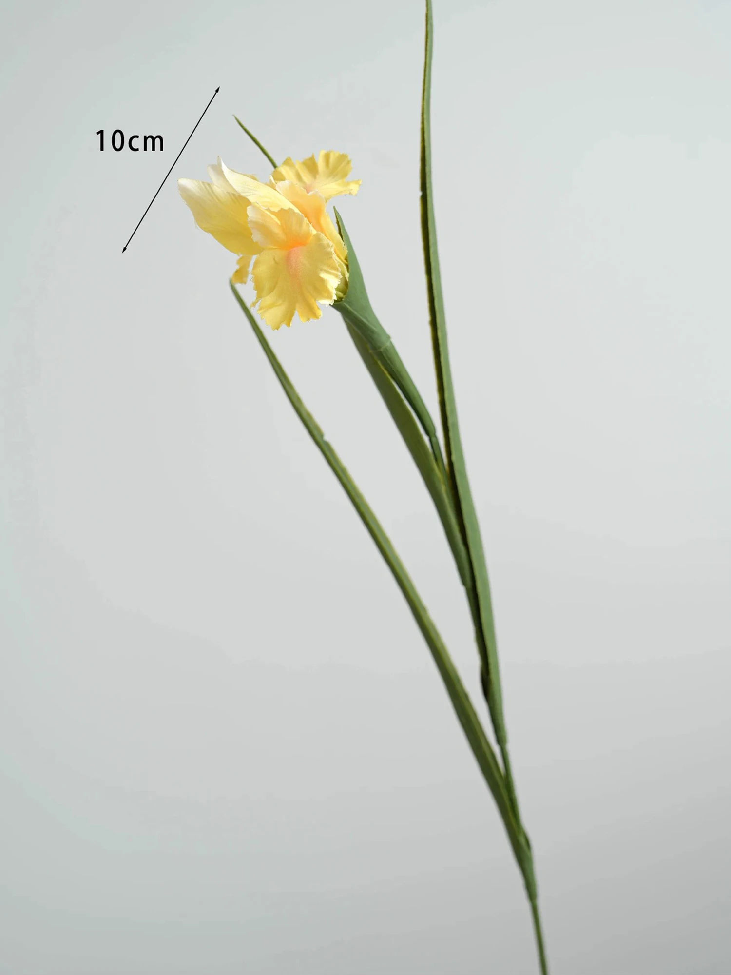 

Искусственный цветок ириса