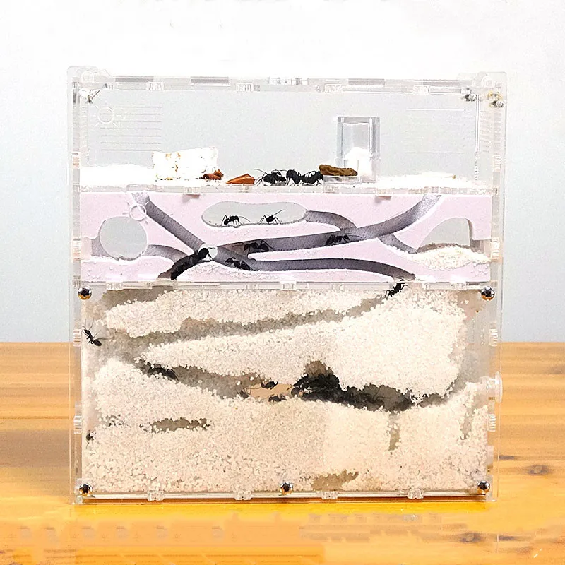 

Ant Acrylic Combo with Hybrid Sand Nest Ant Farm Formicarium for Ant Housing