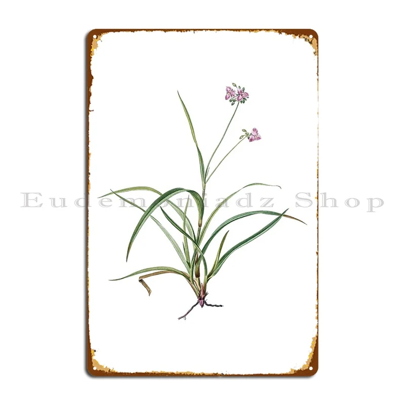 

Винтажный цветок Spiderwort, металлическая вывеска для кинотеатра, Настенный декор, домашний кинотеатр на заказ, жестяной плакат