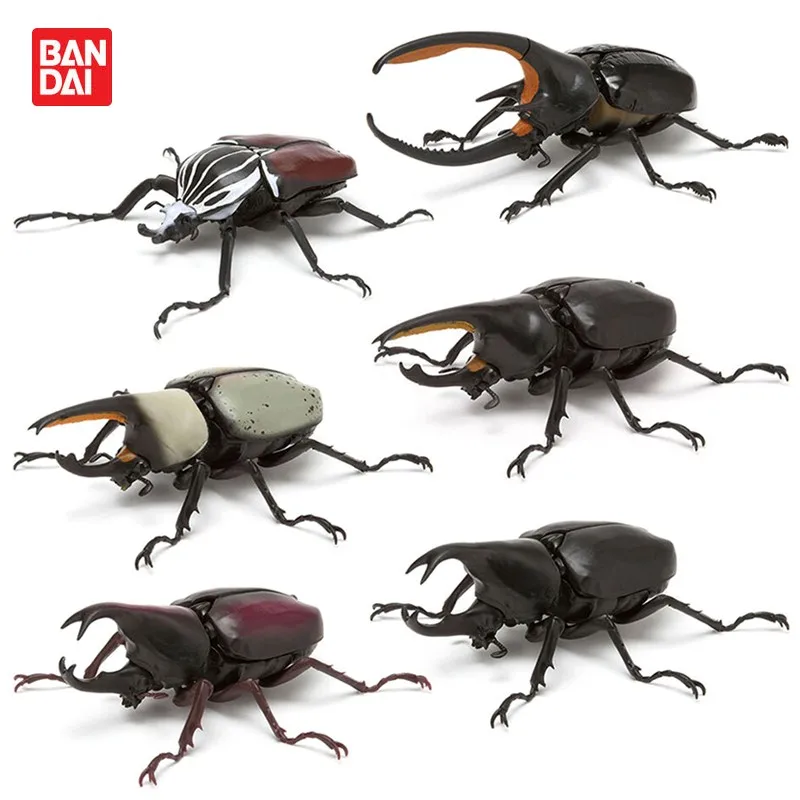 

BANDAI Original Gashapon Capsule Toys Cute Kawaii Unicorn Beetle Beetle Simulation Insects 03 Miniature Models Gift