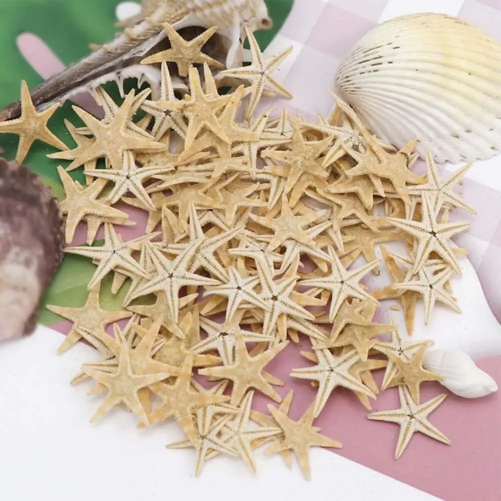 

1 Box Practical Wide Application Cute Assorted Size Wedding Sea Shell Craft for Wedding Decor Starfish Starfish Seashell