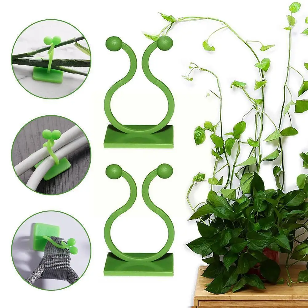 

10 шт., самоклеящиеся зажимы для подъема растений