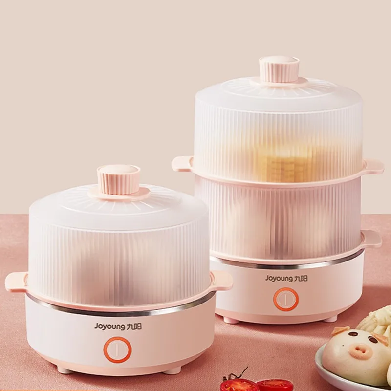 Электрическая яйцеварка для домашнего приготовления 220 В 2 слоя |