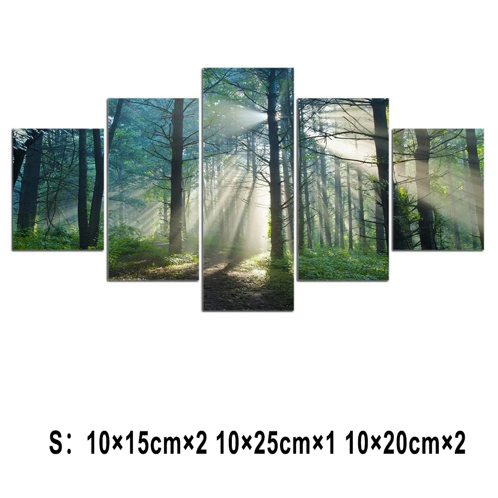 

5Pcs Wall Art Canvas Painting Picture Home Decor Modern Abstract Forest Sunlight For Living Room Bedroom Kitchen