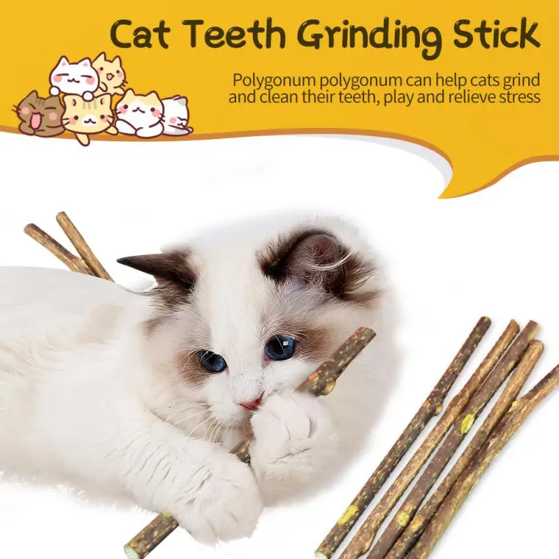 

5/10/15/20pcs/lot Natural Matatabi Pet Cat Snacks Sticks Cleaning Tooth Catnip Cat Toys Actinidia Silvervine Pet Toy For Cats