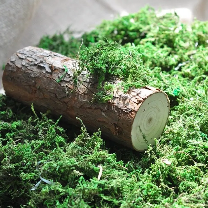 Искусственный мох зеленые растения в горшке Зеленый сказочное украшение 1