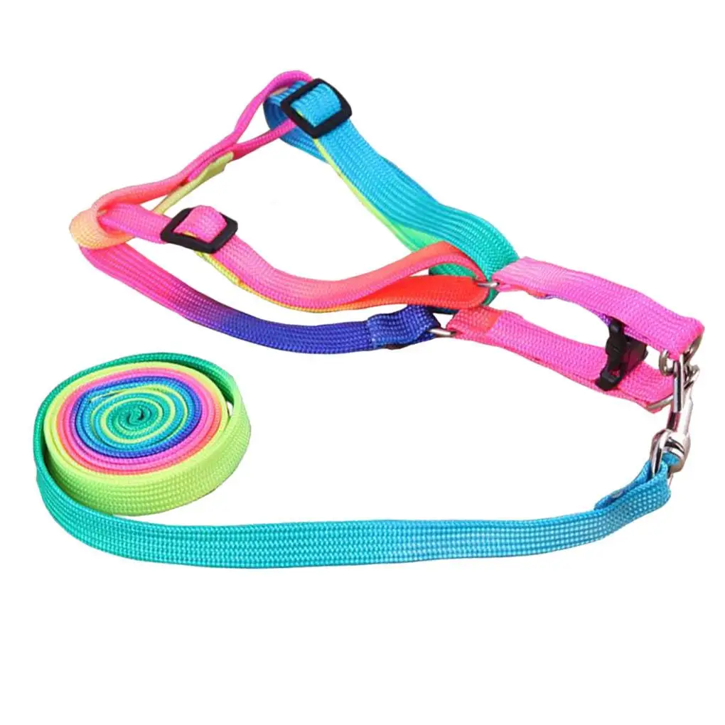

Pet Walking Leash Harness Set Outdoor Pet Walking Colorful Adjustable Harness Pull Strap Kit For Dogs Supplies Pet Products