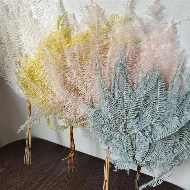 10 шт./около 30*40 см Osmunda Japonica различных форм и размеров |