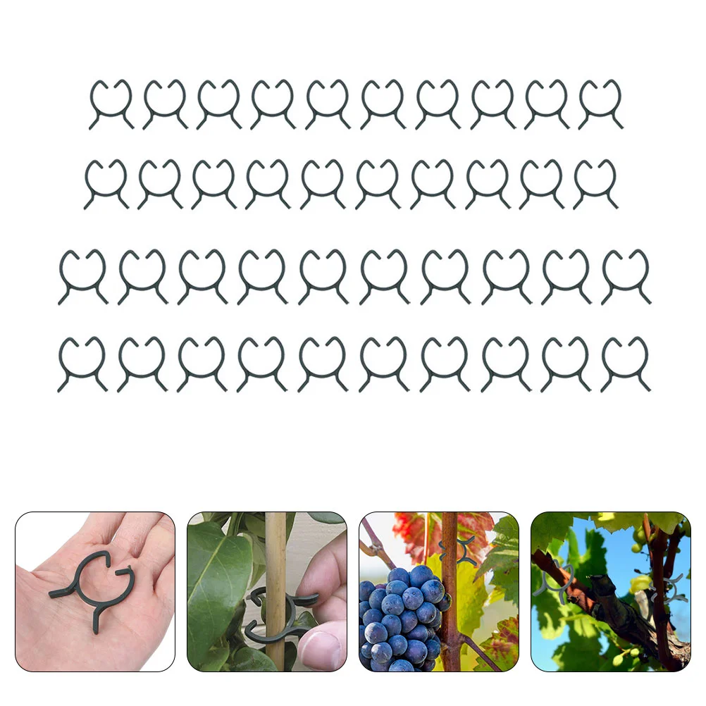 

Climbing Fixing Clips Wall Fixture Clamps Fixer Invisible Wall Vines Fixing Clips for Indoor Outdoor Accessories 200pcs