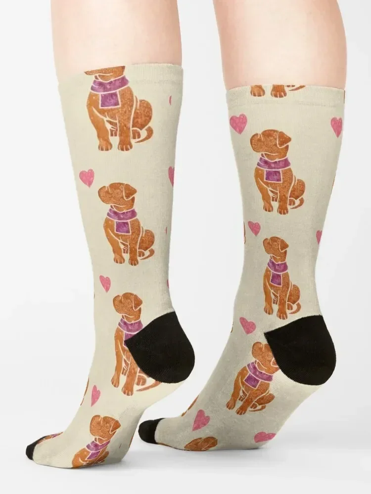 Акварельные носки Dogue de Bordeaux для собак спортивные каваи подарки мужские женские