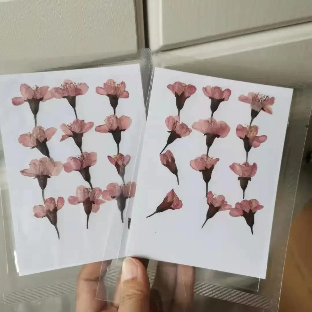 

Прессованные цветы NYAConfetti 24 шт.