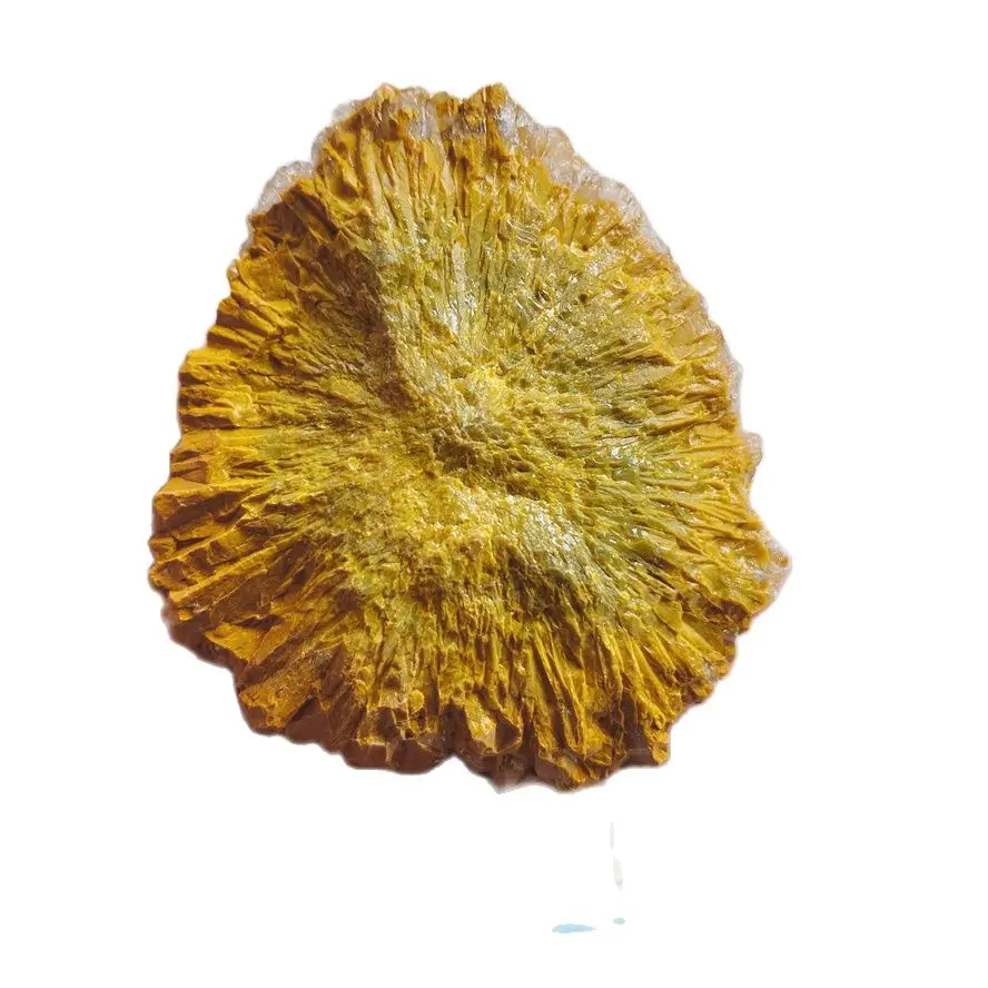 

100% Natural Ocean Jasper mineral specimen quartz crystal specimen Collection Stones 36-168g