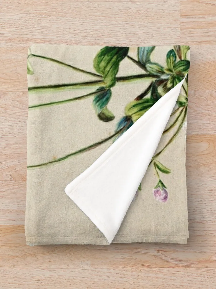 Gentiana Pleurogynoides Пледы Покрывала Furrys Роскошные плед-кровати