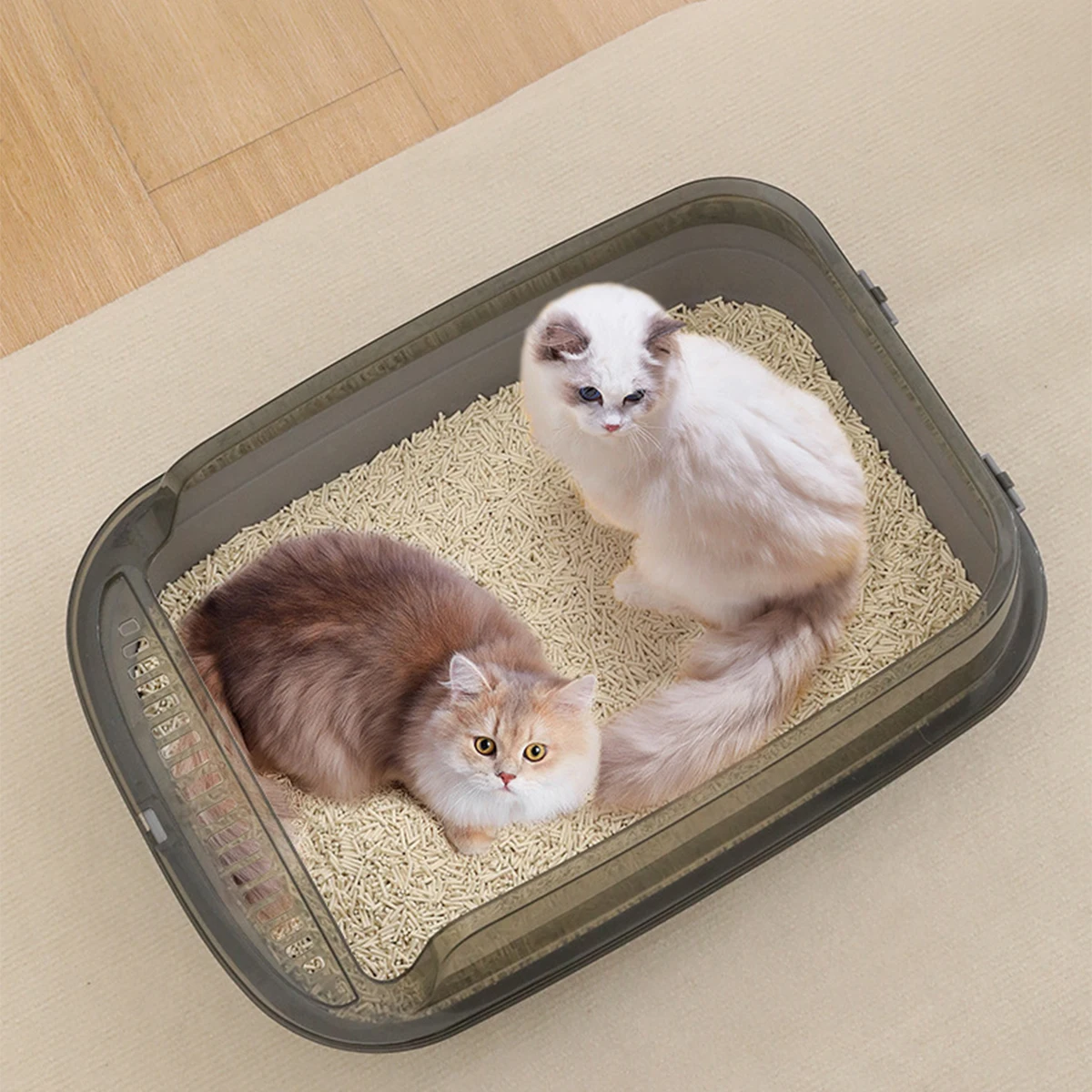 Пластиковый Кошачий Туалет Со Съемным Лотком Для Котят Просторный Поднос Кошек С