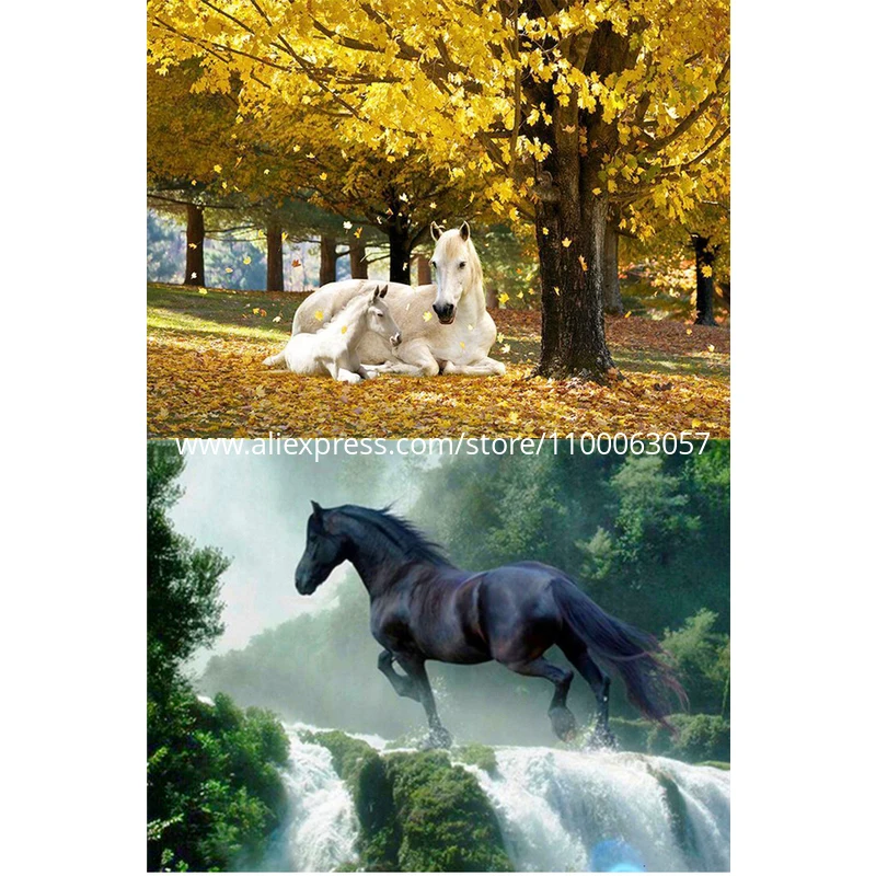 

ROAMILY,Diamond Painting Horse,Animals,5D Cross Stitch Diamond Embroidery,Horses,Full,Fashion Wall