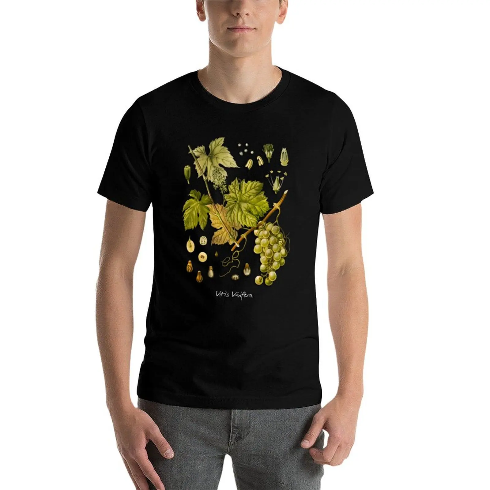 Фото Футболка Vitis vinifera, повседневная уличная одежда, футболка с короткими рукавами №4