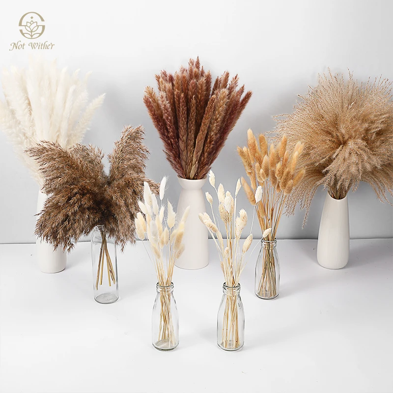 

120PCS Natural Dried Flowers Pampas Decoration Boho Home Accessories Wedding Supplies Table Living Room Garden Decor Bouquet