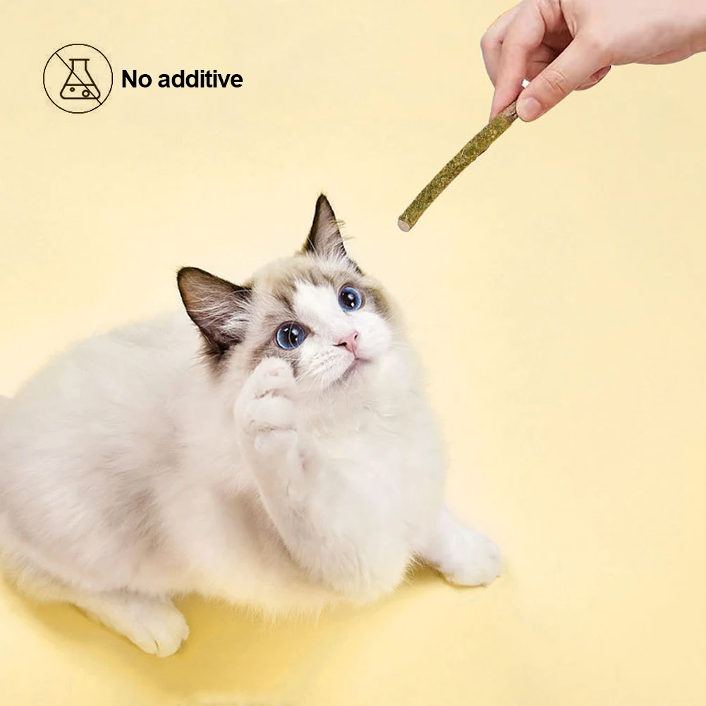 Трендовые игрушки для жевания кошачьих Trendy Cat Chew Toys 100% Natural Silvervine Catnip Sticks Kittens Teeth Cleaning Safe Stick Treat for Cats of All Ages.