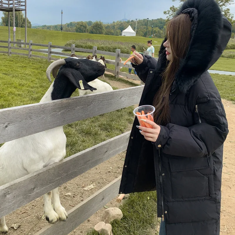 Cotton Jacket 2022 New  Models Large Fur Collar Cotton Jacket In The Long Section of Fashionable and Temperate Ladies Jacket