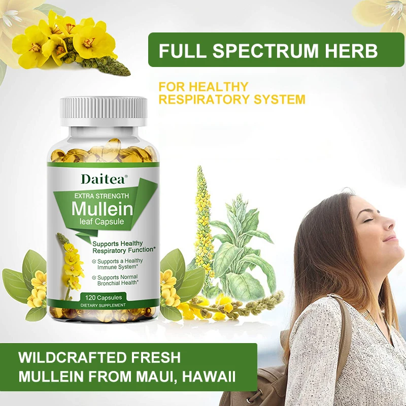 

Natural Mullein Capsules Lung Clearing Herbal Supplement Supports Healthy Respiratory Function and Mucous Membranes