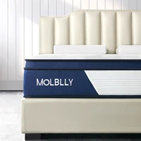 Molblly 10 Inch Back Pain Relief& Cool Queen Bed Innerspring Mattress