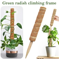 plant climbing coir totem pole safe gardening coconut stick for climbing plants vines and creepers plant support